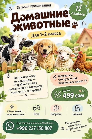 Готовая презентация «Домашние животные» для 0-1–2 класса Не тратьте