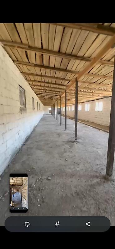 şirvanda torpaq: 700 sot, Kənd təsərrüfatı, Kupça (Çıxarış) — 5