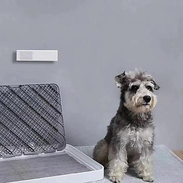 internet data: PETKIT PURA AIR Smart Odor Eliminator Air Purifier (P920)Petkit Hava — 3