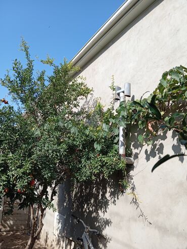 Həyət evləri və villaların satışı: Satılır. Təcili deyil. Diqqətlə oxuyun zəhmət olmasa.Ev kanal — 43