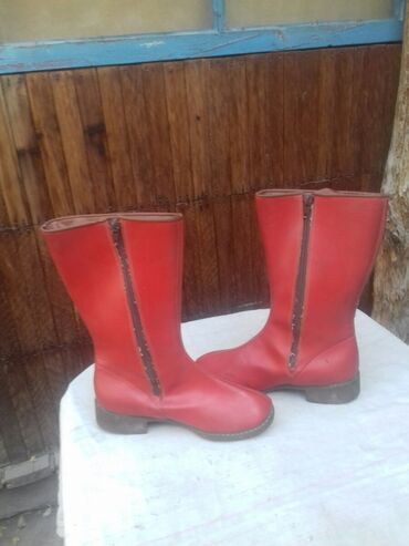 Сапоги: Женская обувь — 4