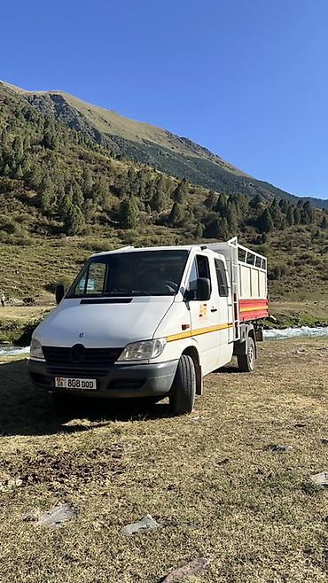 devo matiz: Легкий грузовик, Mercedes-Benz, Дубль, 3 т, Б/у — 1
