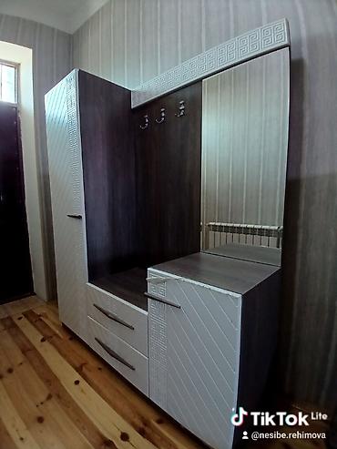 Dəhliz dolabları: Dəhliz üçün funksional mebel dəsti - Tərkib: güzgülü paltar asqısı — 2