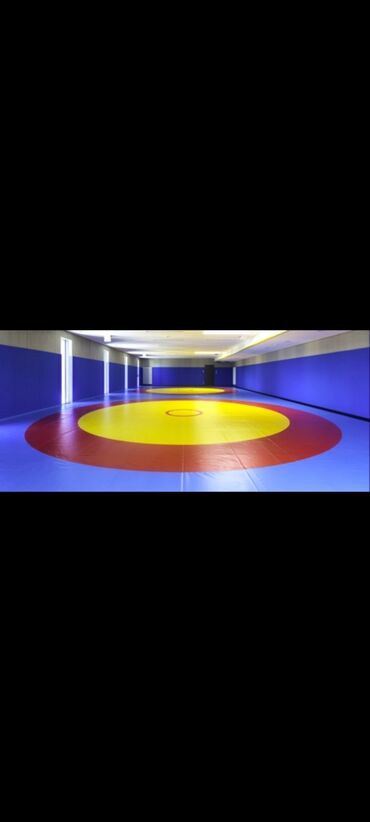 Другое для спорта и отдыха: Борцовский ковер и маты.Гарантия от 5-10 лет олимпийский комплект — 4