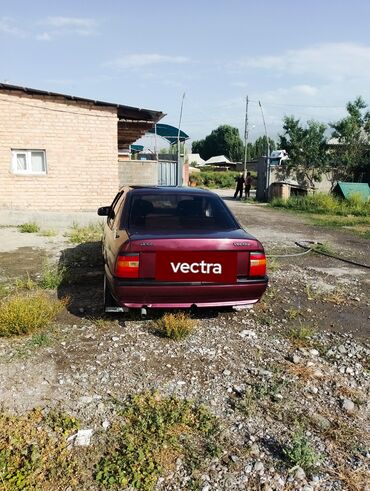 жигули авто: Opel Vectra: 1990 г., 1.8 л, Механика, Бензин, Седан