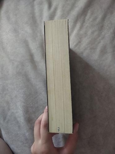 morio qurdu: Məhsul: Kitab – “Sokak Nöbetçileri III” Müəllif: Aslı Arslan — 4