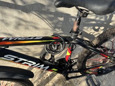 İdman velosipedləri: Dağ velosipedi Strim, 26" — 2