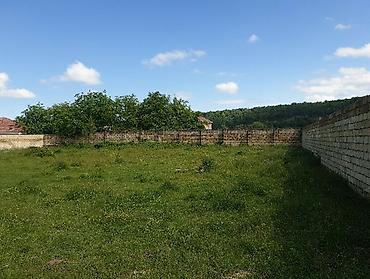 Torpaq sahələrinin satışı: Tikinti — 21