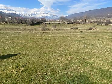 şirvanda torpaq: 25 sot, Tikinti, Mülkiyyətçi, Kupça (Çıxarış) — 4