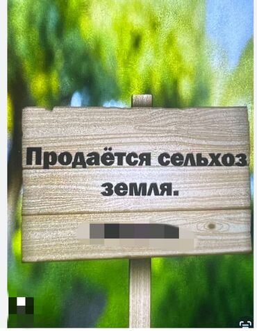 продаю участок учкун 2: 100 соток, Для бизнеса
