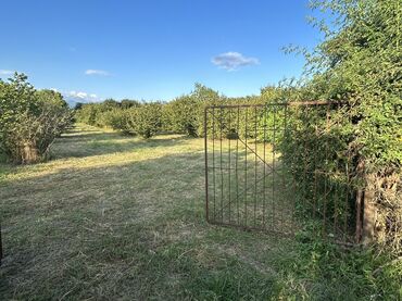 Kirayə torpaq sahələri: Kənd təsərrüfatı -da lalafo.az — 5 Kirayə torpaq sahələri: Kənd təsərrüfatı — 5