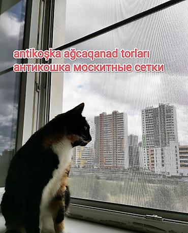 сетки: Жалюзи- москитные сетки для окон и дверей, также замена сеток, ремонт — 6