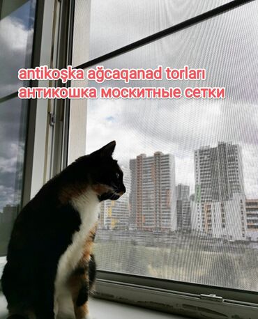 Jalüzlər: Жалюзи-москитные сетки на пластиковые окна и двери. Обычные, на — 7