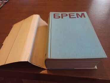 Knjige i stripovi: BREM Kako žive životinje Dobro očuvana knjiga iz 1967g. Izdavač — 2