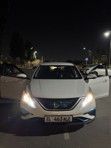 зарядное устройство для электромобиля: Dongfeng : 2018 г., 0.1 л, Робот, Электромобиль
