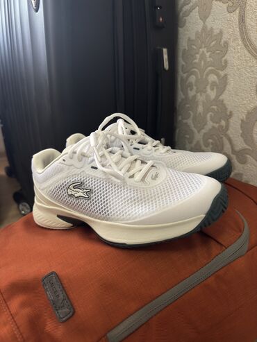 спортивные женские кофты: Кроссовки, 37, Lacoste, Новый, цвет - Белый, Самовывоз