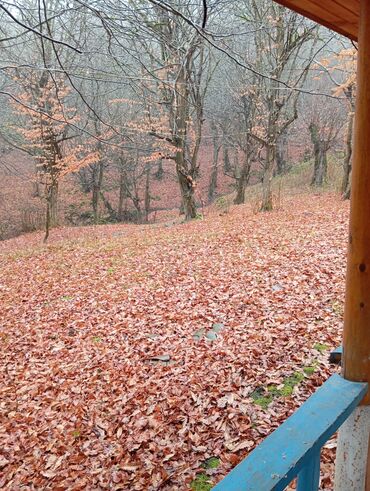 Restoran, kafelər: Masalli İsti su yaxin. 3 hektar ərazi 7 katej 6 bisetka. Tam islek -da lalafo.az — 18 Restoran, kafelər: Masalli İsti su yaxin. 3 hektar ərazi 7 katej 6 bisetka. Tam islek — 18