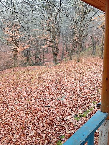 Günlük kirayə evlər: Masalli rayonu. İsti su istirahet merkezine yaxin. Turan restoranina — 40