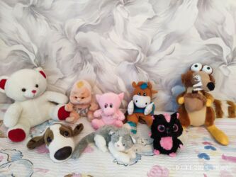 Satılır teze kimidir