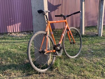 продаю скутер срочно: Шоссейный велосипед, Tsunami, Рама XL (180 - 195 см), Б/у