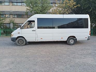 буу коляска: Mercedes-Benz Sprinter пассажирский микроавтобус, длинная база — 4