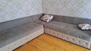 Bitkilər: Künc divan, Açılmayan, Bazasız
