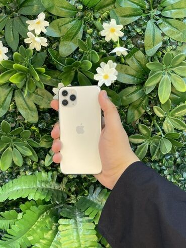 soyuducu silver: IPhone 11 Pro, 64 ГБ, Matte Silver, Гарантия, Face ID