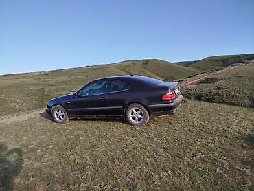 банан цлс: Mercedes-Benz CLK-Class: 1999 г., 2.3 л, Автомат, Бензин, Купе — 8