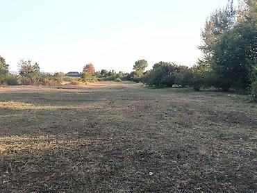boş torpaq: 21 sot, Tikinti, Mülkiyyətçi, Kupça (Çıxarış) — 3