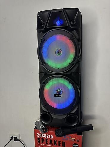 se electronics: Портативная акустическая система ZQS8210 - Два динамика по 8" с яркой — 1