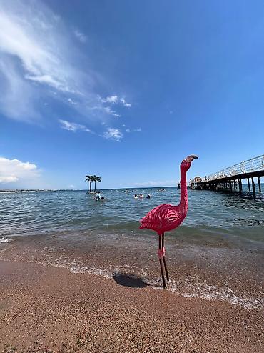 Продажа коттеджей и домов: 🏡 На Продаже Коттедж на Иссык-Куле в "Париж-2" — отличная инвестиция и — 11