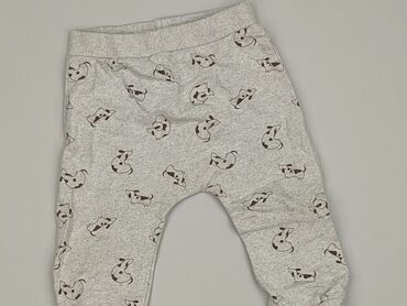 dzieci rajstopy: Legginsy, Fox&Bunny, 12-18 miesięcy, stan - Bardzo dobry