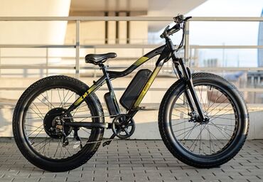 Başqa xidmətlər: Elektron velosiped satilir, eko rejimde 45 km mesafe gedir, suret 40