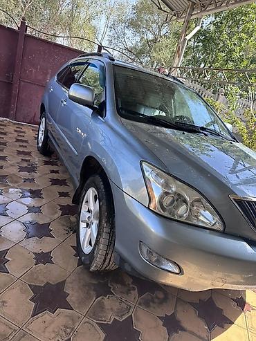 Lexus: Lexus RX: 2004 г., 3.3 л, Автомат — 7
