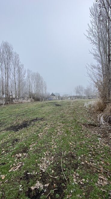 Продажа домов: Дом, 70 м², 4 комнаты, Агентство недвижимости, Старый ремонт — 12