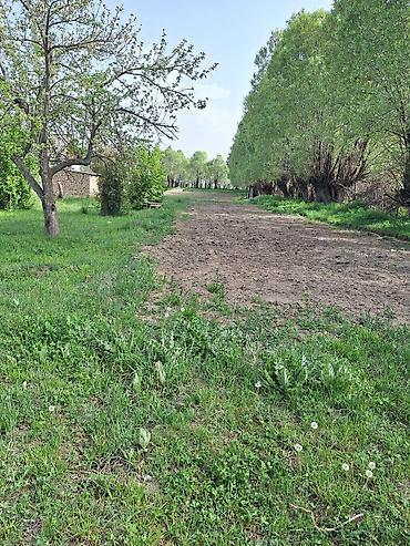 Продажа участков: 60 соток, Красная книга, Тех паспорт — 13