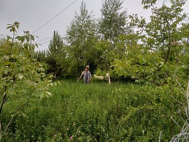 участки в арча бешике: Для сельского хозяйства