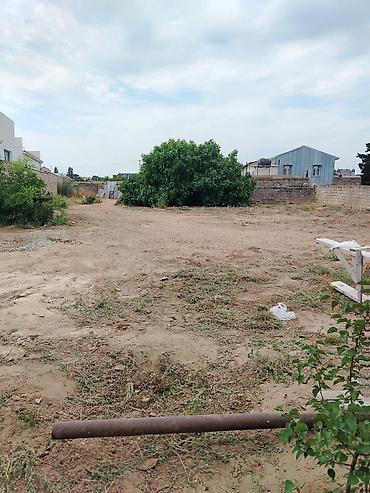 bilgehde torpaq satilir: 9 sot, Kupça (Çıxarış) — 3