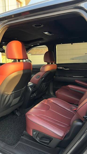 palisade: Hyundai Palisade: 2019 г., Автомат, Дизель, Кроссовер — 6