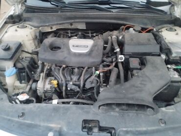 Kia: Kia K5: 2019 г., 1.6 л, Робот, Бензин, Седан — 15