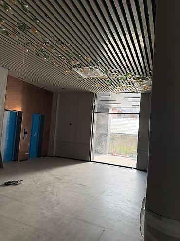 60: Аренда офисов, 54 м², В бизнес центре, С отдельным сан узлом — 3