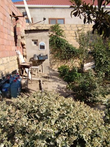 Uzunmüddətli kirayə mənzillər: Qobuda dörd otaqlı ev iki otaq bir kuxna hazır iki otaq təmirsiz qaz — 12