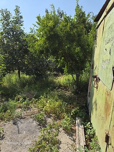 qusarda yer satilir: Həyətyanı torpaq sahesi 4 sot yarimdir sokar poliklinka ilr uzbruz su — 3
