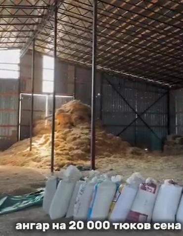 продается ферма: Farm КРС, 2 соток, Действующий, С оборудованием, Электричество, Скважина, Холодная вода — 3