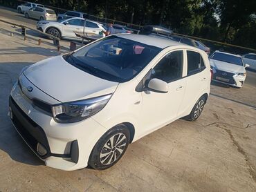 антифриз феликс бишкек: Kia Picanto: 2021 г., 1.2 л, Автоматтык, Бензин, Хетчбек