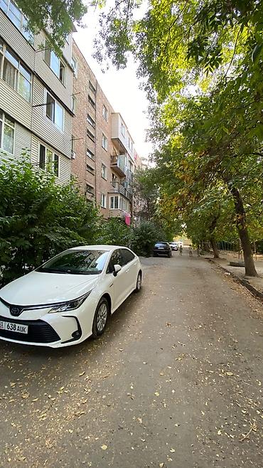 500: 2 комнаты, 44 м², Мед Академия Индивидуалка, 1 этаж, Косметический ремонт — 7