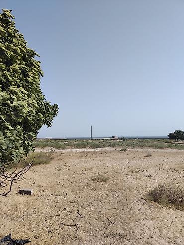 Torpaq: 60 sot, Mülkiyyətçi, Bələdiyyə — 3