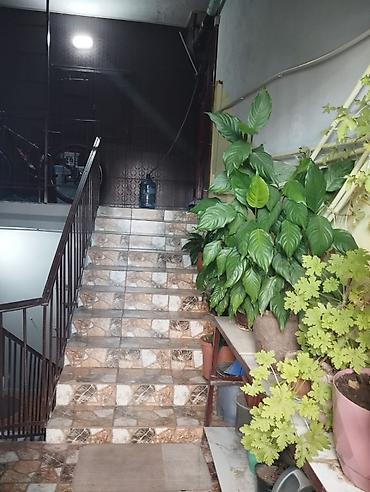 Bakı, Yeni Yasamal, 2 otaqlı, Köhnə tikili, m. 20 Yanvar, 30 kv. m lalafo.az -da Bakı, Yeni Yasamal, 2 otaqlı, Köhnə tikili, m. 20 Yanvar, 30 kv. m