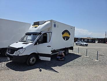 мед справки: Сдаю рефрижератор Mercedes-Benz Sprinter, Почасово — 4