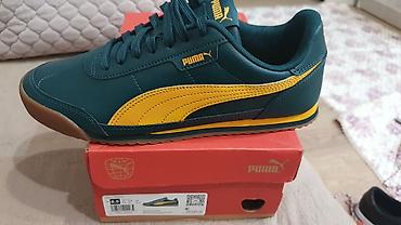 puma ferrari: Мужские кроссовки, 41, Puma, Новый, цвет - Черный, Платная доставка — 1